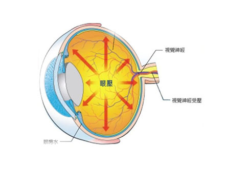 视神经萎缩属于眼科疾病哪一种？