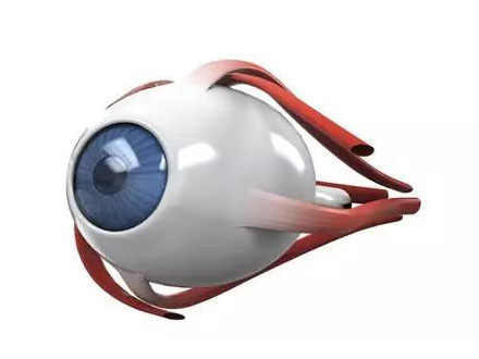 常见的远视眼症状有哪些？如何做好预防工作？